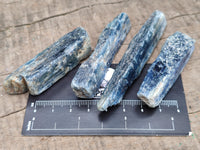 Natural Kyanite Crystals x 52 From Zimbabwe