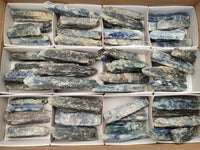 Natural Kyanite Crystals x 52 From Zimbabwe