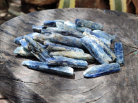 Natural Kyanite Crystals x 52 From Zimbabwe