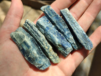 Natural Kyanite Crystals x 52 From Zimbabwe