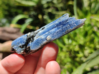 Natural Kyanite Crystals x 52 From Zimbabwe