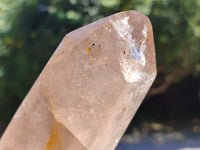 Polished Smokey Quartz Crystals x 2 From Madagascar