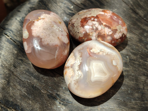 Polished Flower Agate Palm Stones x 12 From Antsahalova, Madagascar