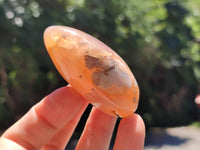 Polished Flower Agate Palm Stones x 12 From Antsahalova, Madagascar