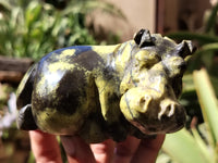 Polished Leopard Stone Hippo Carving x 4 From Zimbabwe