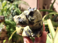 Polished Leopard Stone Hippo Carving x 4 From Zimbabwe