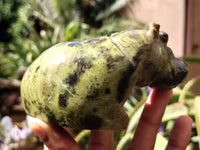 Polished Leopard Stone Hippo Carving x 4 From Zimbabwe