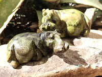 Polished Leopard Stone Hippo Carving x 4 From Zimbabwe