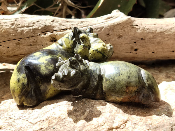 Polished Leopard Stone Hippo Carving x 4 From Zimbabwe