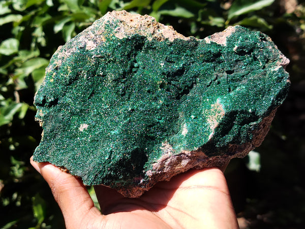 Natural Botryoidal Malachite Specimens x 2 From Tenke Fungurume, Congo