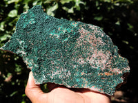 Natural Botryoidal Malachite Specimens x 2 From Tenke Fungurume, Congo