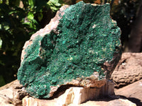 Natural Botryoidal Malachite Specimens x 2 From Tenke Fungurume, Congo