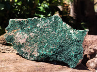 Natural Botryoidal Malachite Specimens x 2 From Tenke Fungurume, Congo