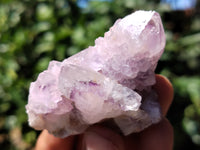 Natural Amethyst Spirit Quartz Clusters x 35 From Boekenhouthoek, South Africa