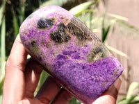 Polished Stichtite Standing Standing Free Forms x 3 From Barberton, South Africa