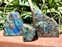 Polished Labradorite Standing Free Forms x 3 From Tulear, Madagascar