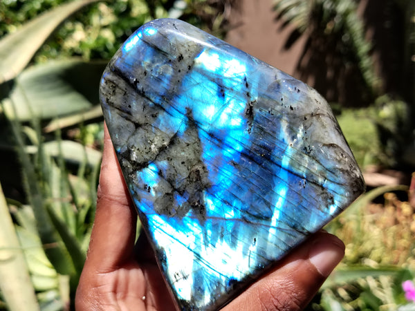 Polished Labradorite Standing Free Forms x 3 From Tulear, Madagascar