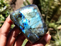 Polished Labradorite Standing Free Forms x 3 From Tulear, Madagascar