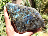 Polished Labradorite Standing Free Forms x 3 From Tulear, Madagascar