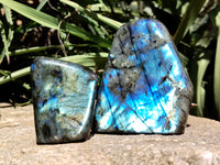 Polished Labradorite Standing Free Forms x 3 From Tulear, Madagascar