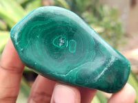 Polished Flower Banded Malachite Free Forms x 12 From Congo