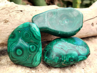 Polished Flower Banded Malachite Free Forms x 12 From Congo