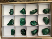 Polished Flower Banded Malachite Free Forms x 12 From Congo