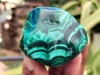 Polished Flower Banded Malachite Free Forms x 12 From Congo