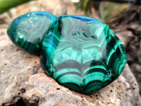 Polished Flower Banded Malachite Free Forms x 12 From Congo