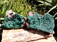 Natural Botryoidal Malachite Specimens x 2 From Tenke Fungurume, Congo