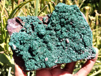 Natural Botryoidal Malachite Specimens x 2 From Tenke Fungurume, Congo