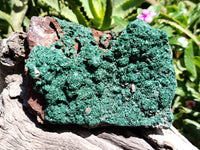 Natural Botryoidal Malachite Specimens x 2 From Tenke Fungurume, Congo