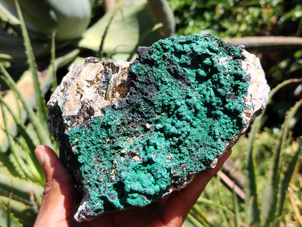 Natural Botryoidal Malachite Specimens x 2 From Tenke Fungurume, Congo