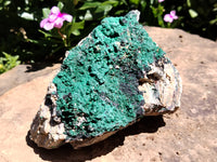 Natural Botryoidal Malachite Specimens x 2 From Tenke Fungurume, Congo