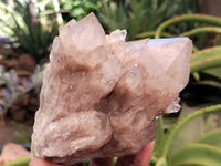 Natural Smokey Phantom Quartz Clusters x 2 From Luena, Congo