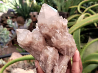 Natural Smokey Phantom Quartz Clusters x 2 From Luena, Congo