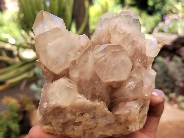 Natural Smokey Phantom Quartz Clusters x 2 From Luena, Congo