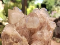 Natural Smokey Phantom Quartz Clusters x 2 From Luena, Congo