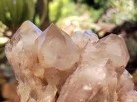 Natural Smokey Phantom Quartz Clusters x 2 From Luena, Congo