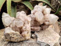 Natural Smokey Phantom Quartz Clusters x 2 From Luena, Congo