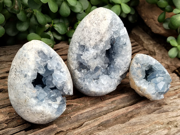 Polished Celestite Geode Egg x 3 From Sakoany, Madagascar