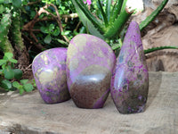 Polished Stichtite Standing Free Forms x 3 From Barberton, South Africa