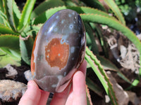 Polished Polychrome Jasper Standing Free Forms x 4 From Mahajanga, Madagascar