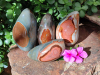 Polished Polychrome Jasper Standing Free Forms x 4 From Mahajanga, Madagascar