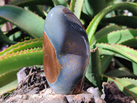 Polished Polychrome Jasper Standing Free Forms x 4 From Mahajanga, Madagascar