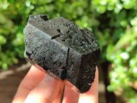 Natural Schorl Black Tourmaline Specimens x 6 From Erongo, Namibia