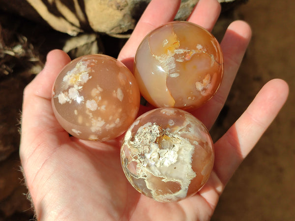 Polished Flower Agate Spheres x 6 From Antsahalova, Madagascar