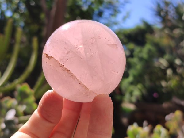 Polished Rose Quartz Spheres x 6 From Ambatondrazaka, Madagascar