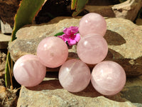 Polished Rose Quartz Spheres x 6 From Ambatondrazaka, Madagascar