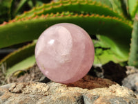 Polished Rose Quartz Spheres x 6 From Ambatondrazaka, Madagascar